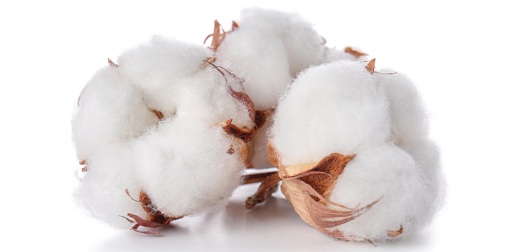 肌にやさしい天然コットン100%