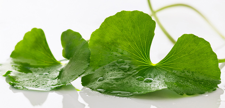 CICA&ヒアルロン酸を配合したシルクのようななめらかな使いごこち